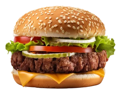 Hamburguesa de soja sabor carne PRO-V