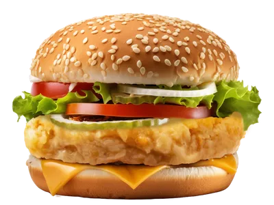Hamburguesa de soja sabor pollo PRO-V